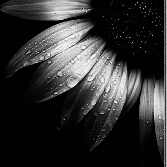 Meet your Posher, David - Picture 1 of 1